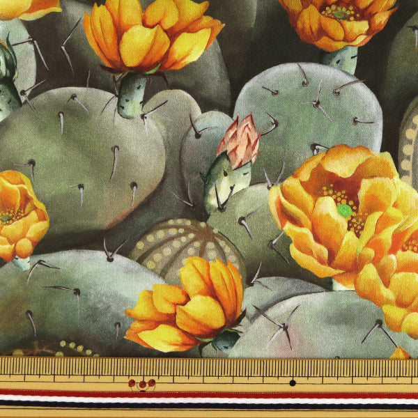 【数量5から】 生地 『LIBERTY リバティプリント タナローン デザート・ローズ 3631129-B』 Liberty Japan リバティジャパン