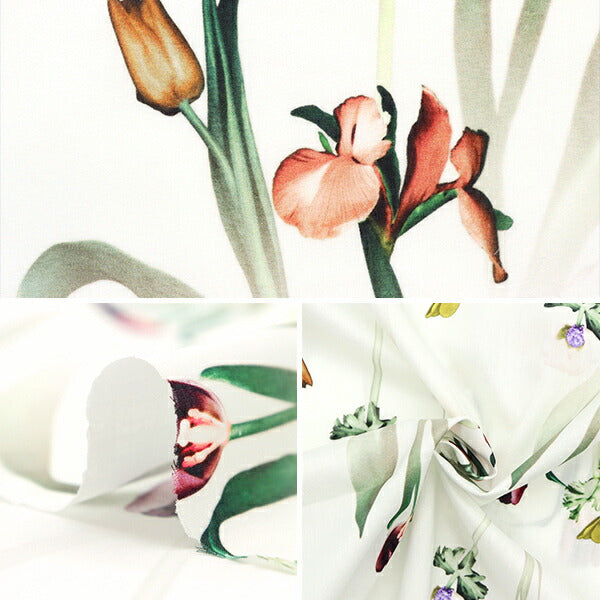 【数量5から】 生地 『LIBERTY リバティプリント タナローン ヒーリング・フローラル 3633105-23AT』 リバティジャパン