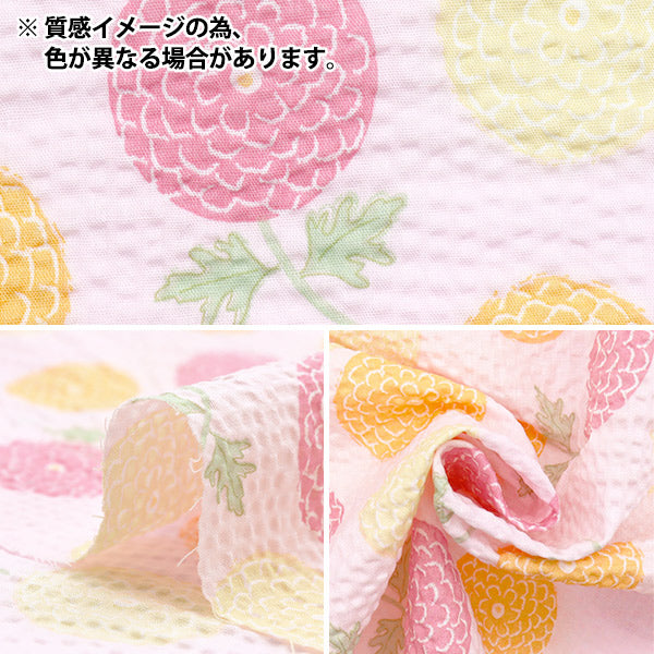 【数量5起】 織物 《瑞波儿童酒窝系列嘭嘭菊花蓝色ECB-54-BL》" KIYOHARA