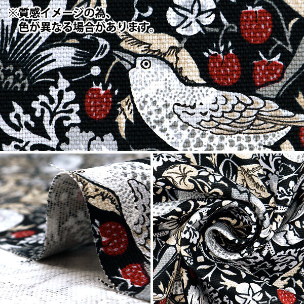 【数量5から】 生地 『MODA BEST OF MORRIS オックス ストロベリーシーフ 紺×赤 8176-56T』