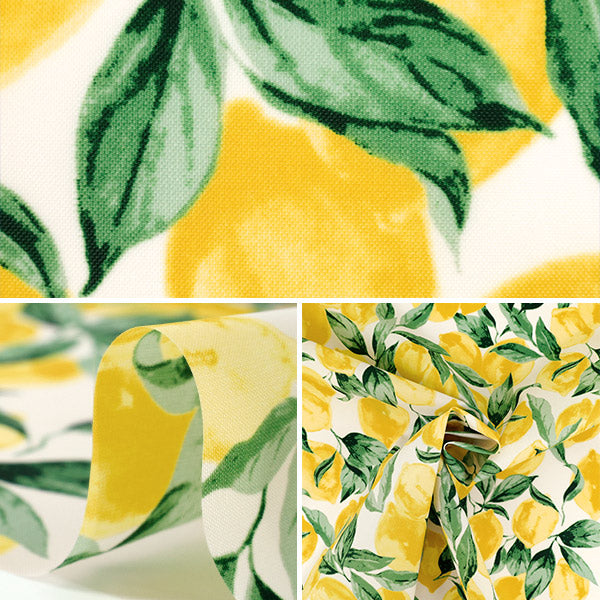 【数量5から】 生地 『ナイロンオックスプリント レモン ホワイト SG-174-A』