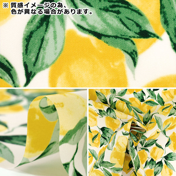 【数量5から】 生地 『ナイロンオックスプリント レモン イエロー SG-174-B』