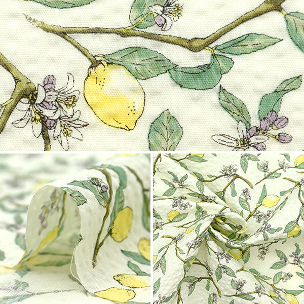 【数量5から】 生地 『リップルプリント レモン ナチュラル KTS7033-A』 COTTON KOBAYASHI コットンこばやし 小林繊維