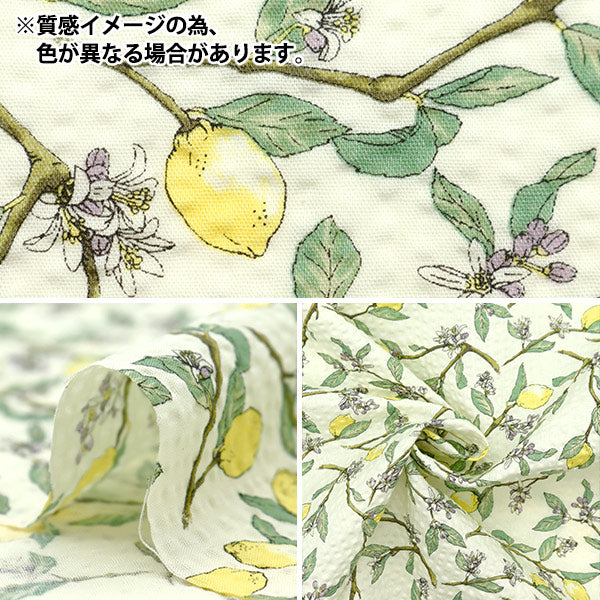 【数量5から】 生地 『リップルプリント レモン ブルー KTS7033-C』 COTTON KOBAYASHI コットンこばやし 小林繊維