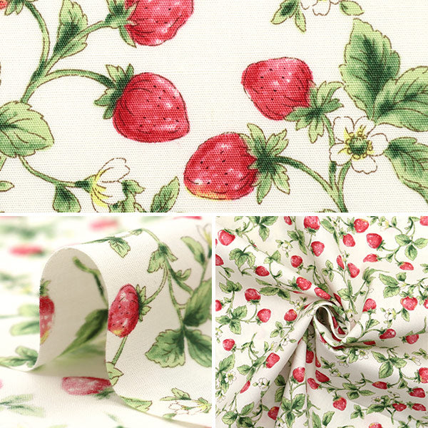 【数量5から】 生地 『ブロード いちご アイボリー KTS7090-A』 COTTON KOBAYASHI コットンこばやし 小林繊維