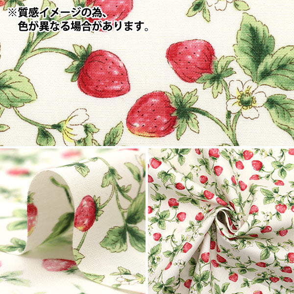 【数量5から】 生地 『ブロード いちご ブラック KTS7090-F』 COTTON KOBAYASHI コットンこばやし 小林繊維