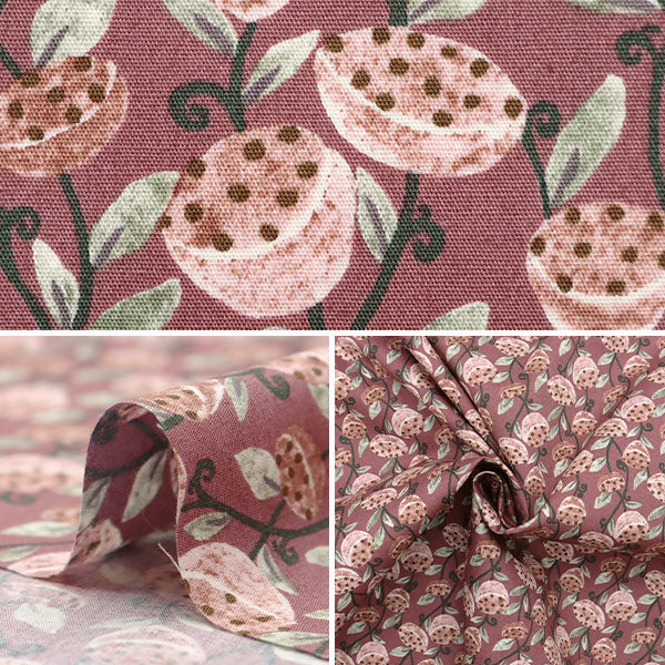 【数量5から】 生地 『ブロード はす ピンク KTS7077-A』 COTTON KOBAYASHI コットンこばやし 小林繊維