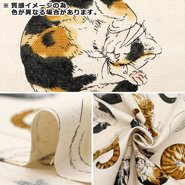 【数量5から】 生地 『オックス アニマル ニャンモナイト ブルー AP45806-2C』