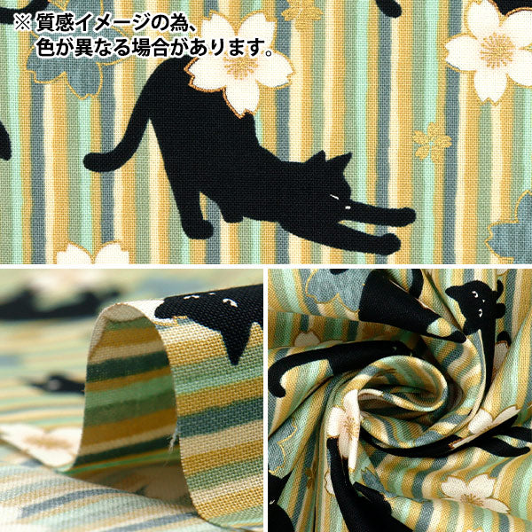 【数量5から】 生地 『シーチング 百華繚蘭 黒猫と桜ストライプ レッド HR3520-12D』 Quilt Gate キルトゲイト
