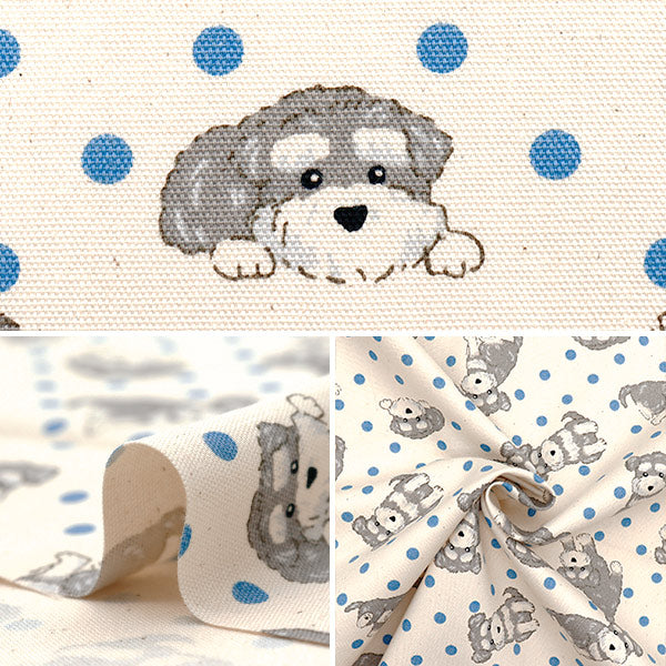 【数量5起】 織物 『牛津布 波爾卡圓點施纳瑟基纳利AP52903-1A"