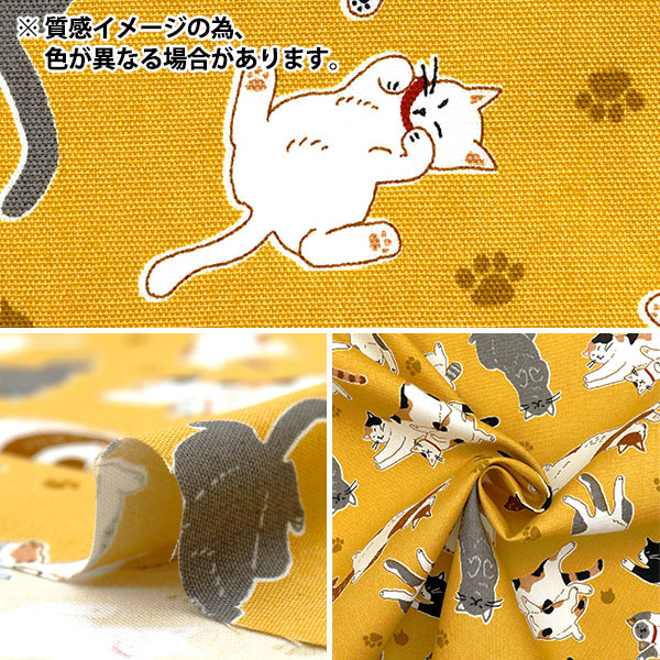 【数量5から】 生地 『オックス へそ天にゃんこ ネイビー AP52903-2E』