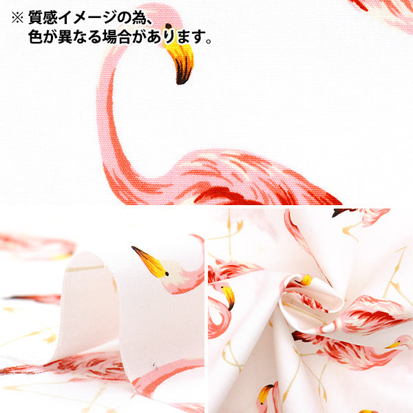 【数量5起】 織物 布罗德火烈鸟黑色4235-1-4"