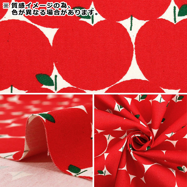 【数量5から】 生地 『オックス アップルドット オレンジ 850551-1-2』