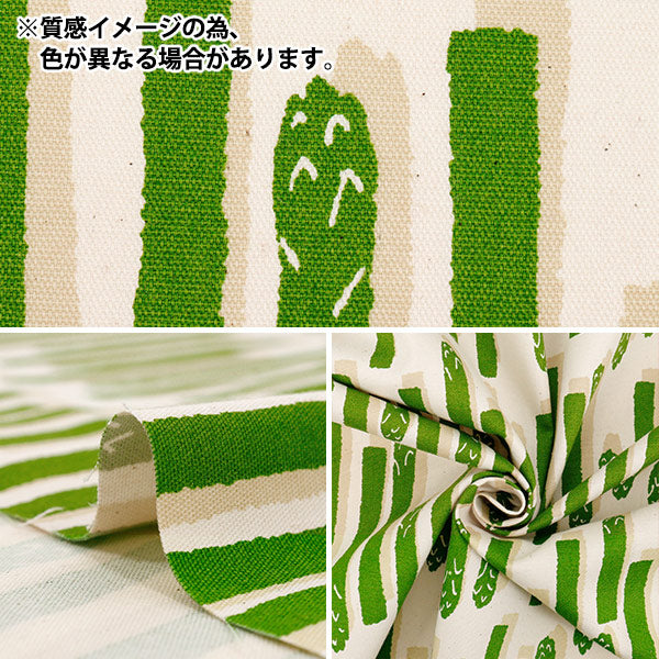 【数量5起】 織物 『牛津布 芦笋条纹黄色绿色85052-1-3"