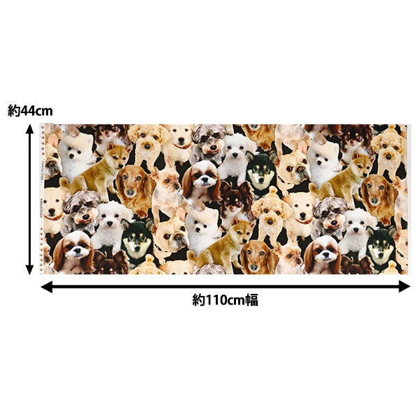 【数量5から】 生地 『シーチング インクジェットプリント ドックズ KOM-016』