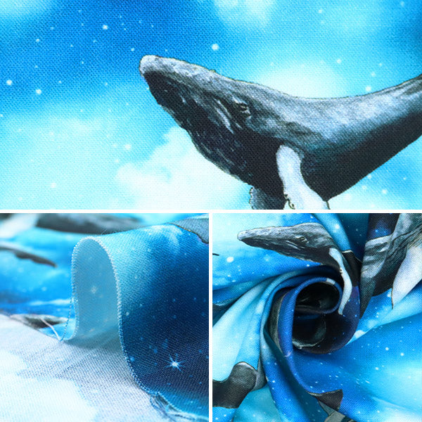 【数量5から】 生地 『デジタルプリント ミンスイ くじら mingswim011』