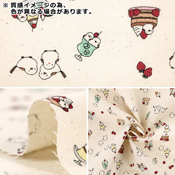 【数量5起】 織物 『板材織物 粉红粉红yka - 3950 - 2b" 国家KOKKA