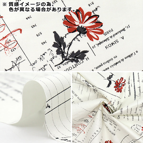 【数量5起】 織物 “小关铃子剪切比卡比卡纸加工Paper & Marguerite蓝SZ825826-C”" YUWA有轮商店