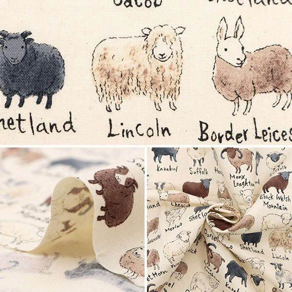 【数量5から】 生地 『NOVA シーチング 羊図鑑 ナチュラル NSE-SHE-NA』 KOKKA コッカ 【ユザワヤオリジナル】