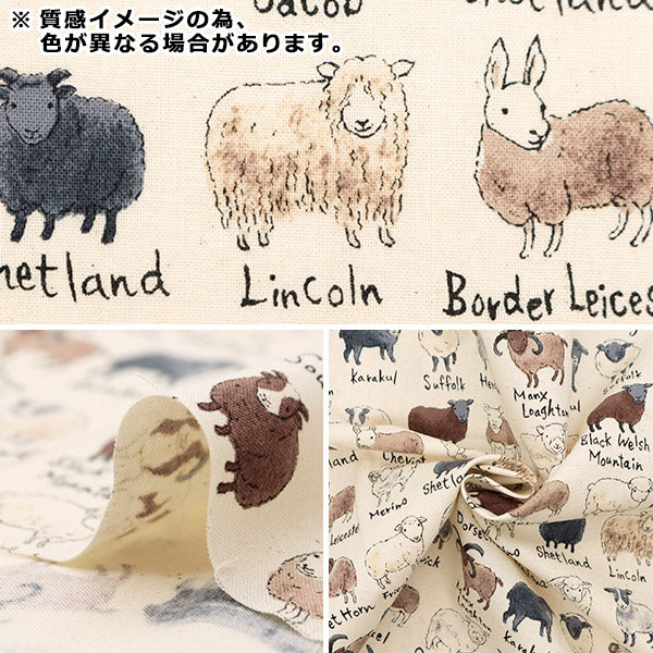 【数量5から】 生地 『NOVA シーチング 羊図鑑 ブルーグレー NSE-SHE-BGY』 KOKKA コッカ 【ユザワヤオリジナル】