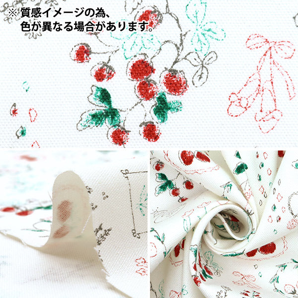 【数量5から】 生地 『NOVA オックス ジュエリーボックス いちご ナチュラル NOX-JSTR-NA』 KOKKA コッカ 【ユザワヤオリジナル】