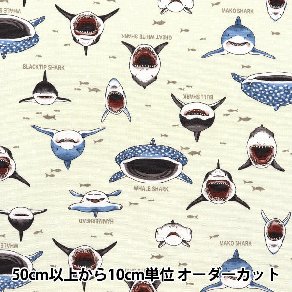 数量5から】 生地 『オックス カラフルキャンバス サメサメシャーク