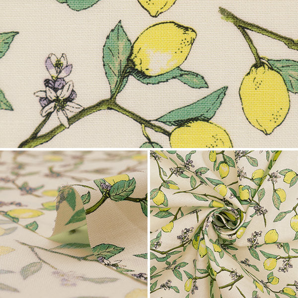 【数量5から】 生地 『シーチング 枝付きレモン オフホワイト KTS6951SE-OW』 COTTON KOBAYASHI コットンこばやし 小林繊維 【ユザワヤオリジナル】