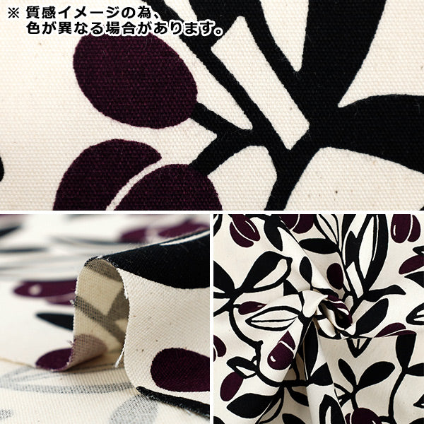 【数量5から】 生地 『う早この布 オックス オリーブ 黒×赤 ACS1136-C』 COTTON KOBAYASHI コットンこばやし 小林繊維