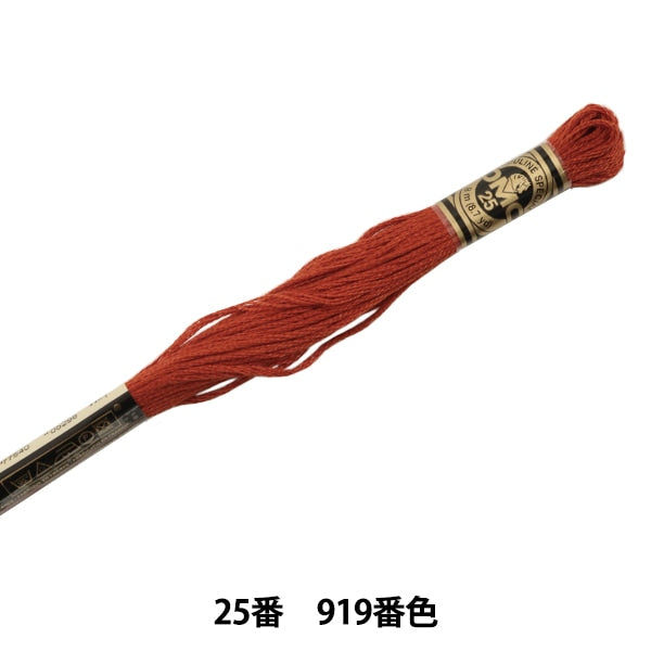 Embroidery thread "DMC 25th embroidery thread 919"