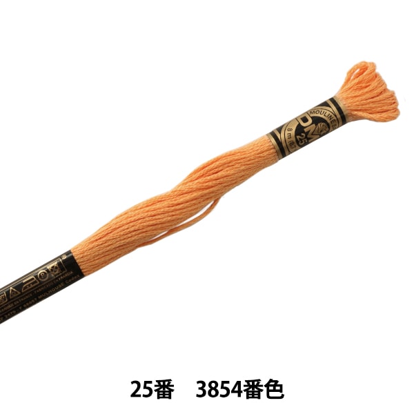 繡花線“ DMC No. 25繡花線3854”