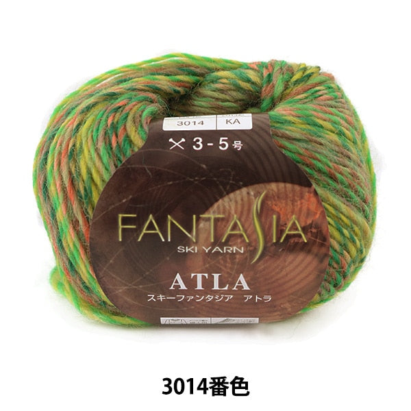 가을과 겨울털실 "Fantasia Atla (Fantasia Atra) 3014 컬러"Skiyarn Ski Yarn