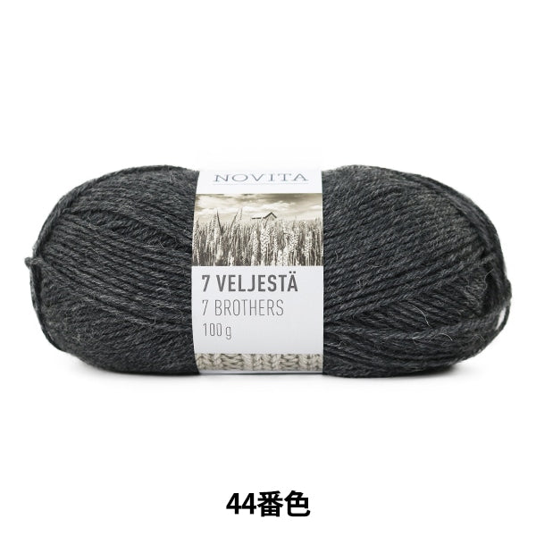 Fall and winterYarn "7brothers 44th color graphite" novita Novita