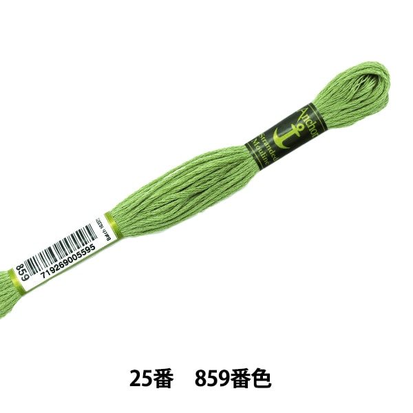 Broderiefil "Ancre (ancre) n ° 25 broderiefil 859th couleur "