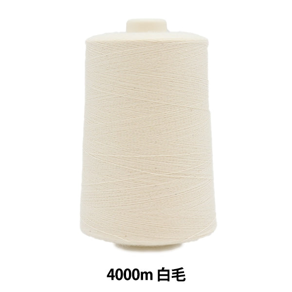 Disciplinefil "Roll de fromage aux cheveux blancs Orizuru # 40" Kanagawa