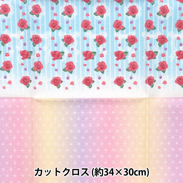 生地 『カットクロス 小さな世界の小さな生地 イマドキ和柄 TTF-09