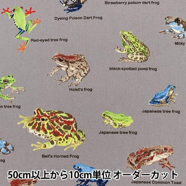 カエル様オーダー Twill Frog Guide KTS6857-B | Cotton Kobayashi – Yuzawaya