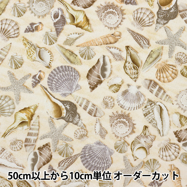 数量5から】 生地 『USAコットン シェルズ 貝殻柄 C5353-SHELLS 