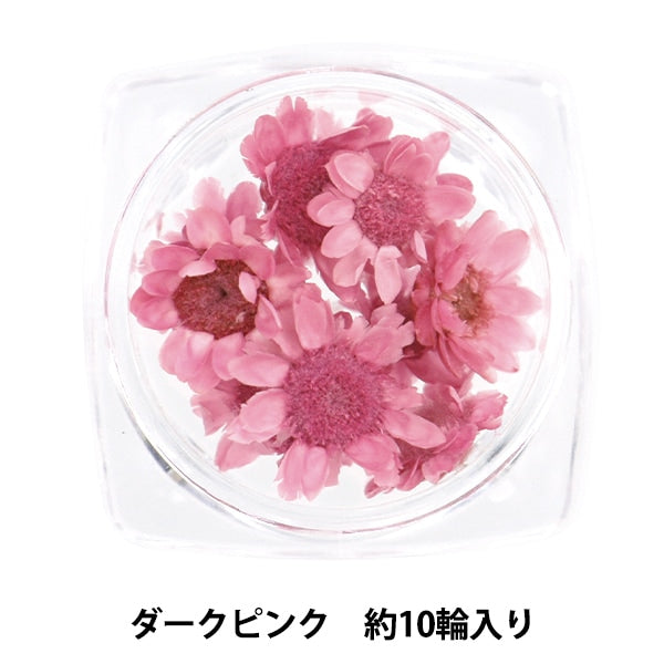 レジン材料 『スターフラワー ダークピンク』 – Yuzawaya