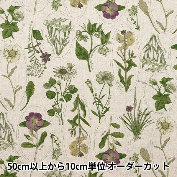 数量5から】 生地 『綿麻キャンバス 植物図鑑柄 ライフグリーン CLPLEN
