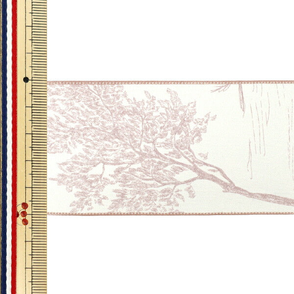 Ruban ``ImprimerRuban Toile de Jouy 2025 Env. largeur 50mm x longueur 2m Rose YRC2522-50"