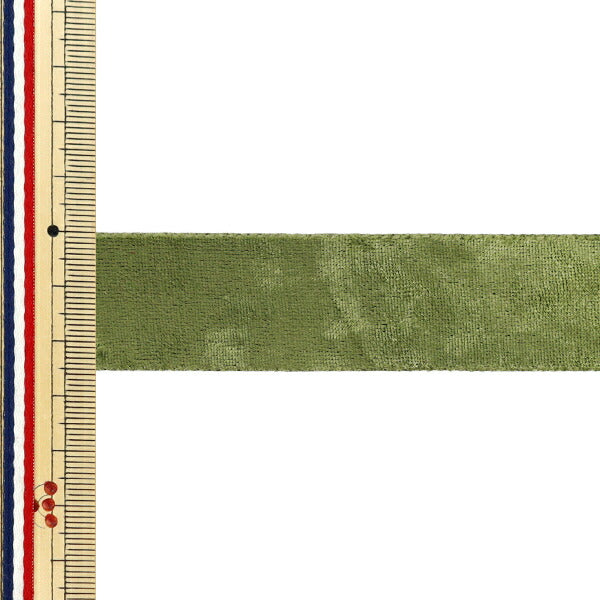 Ribbon ``VelorRibbon 2025 Approx. width 25mm x length 2m Green YRC2544-25"