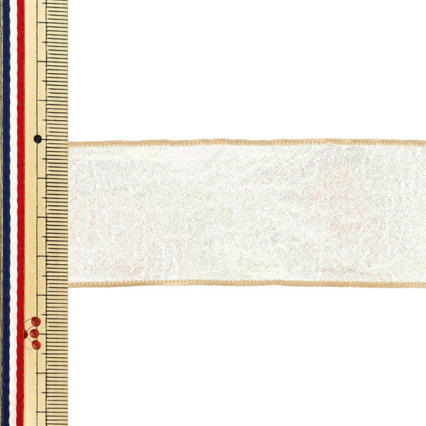 Ruban "AuroreRuban 2025 Environ largeur 38mm x longueur 2m Beige YRC2534-38"