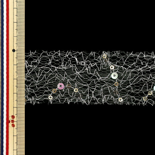 Nastro "Nastro con paillettes 2025 circa Larghezza 38 mm x Lunghezza 2 m Argento YRC2531-38"