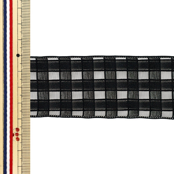 Ribbon ``Platid laceRibbon 2025 Approx. width 40mm x length 2m Black YRC2553-40"