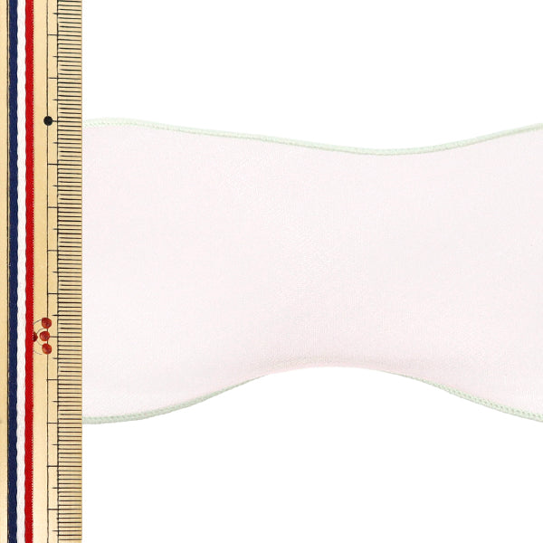 【数量5から】 リボン 『パステルオーガンジーリボン 幅約70mm 2番色 K252T-TPY2』