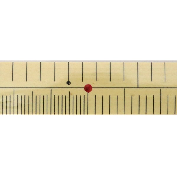 المسطرة ``مصنوعة من الخيزرانالمسطرة قماش رقيق الحوت شاكو 1 شاكو مع سم” KA كينكيإبر الحياكة