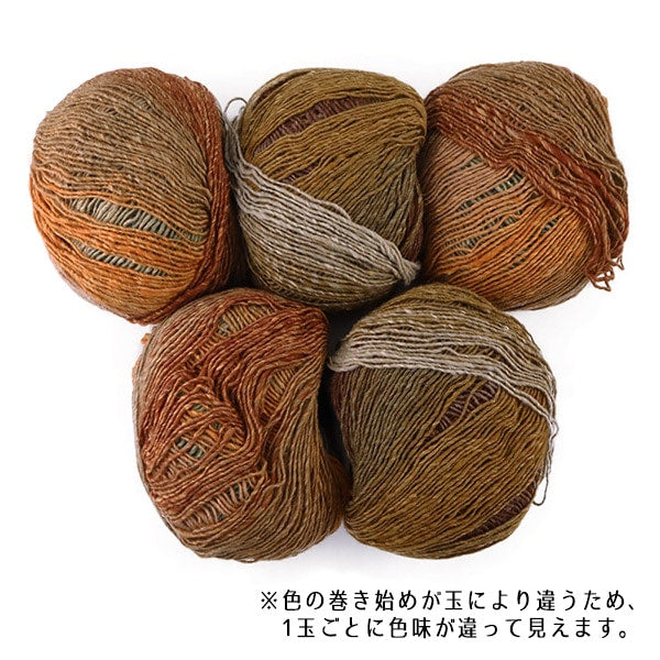 Fall and winterYarn "Yugure 4th color" NORO Hidaku Noro