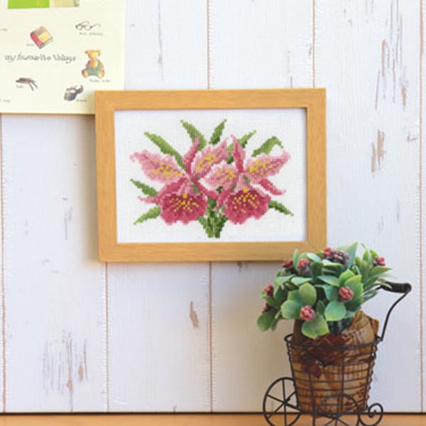 Kit di ricamo "12 mesi Flower Frame Gennaio Cattley Marie Catholine Collection 7506" Olympus