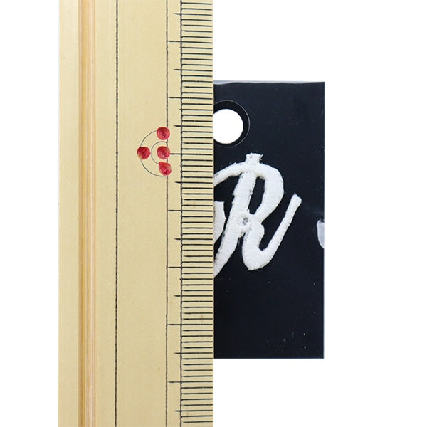 Patch "Charac à fleursPatch R e81" Pionnier du pionnier