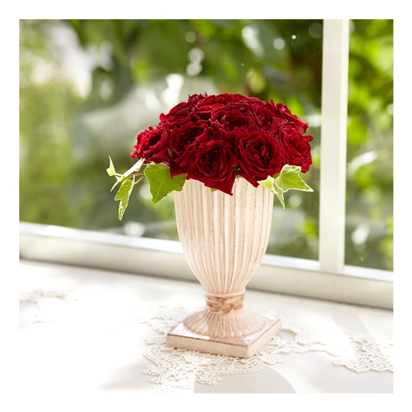 Arrangement Base "FEMI-CLA (Femura) Weiß 120-229-100"